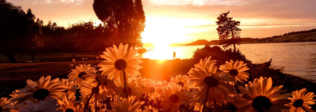 Friday Check-in: Hearing God Over the Noise of Ego - 06/27/2025