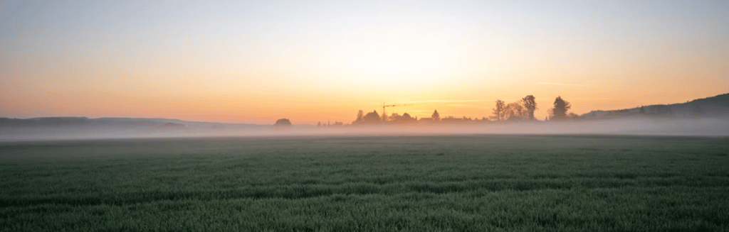 Friday Check-in: Hearing God When the World Feels Loud - 06/20/2025