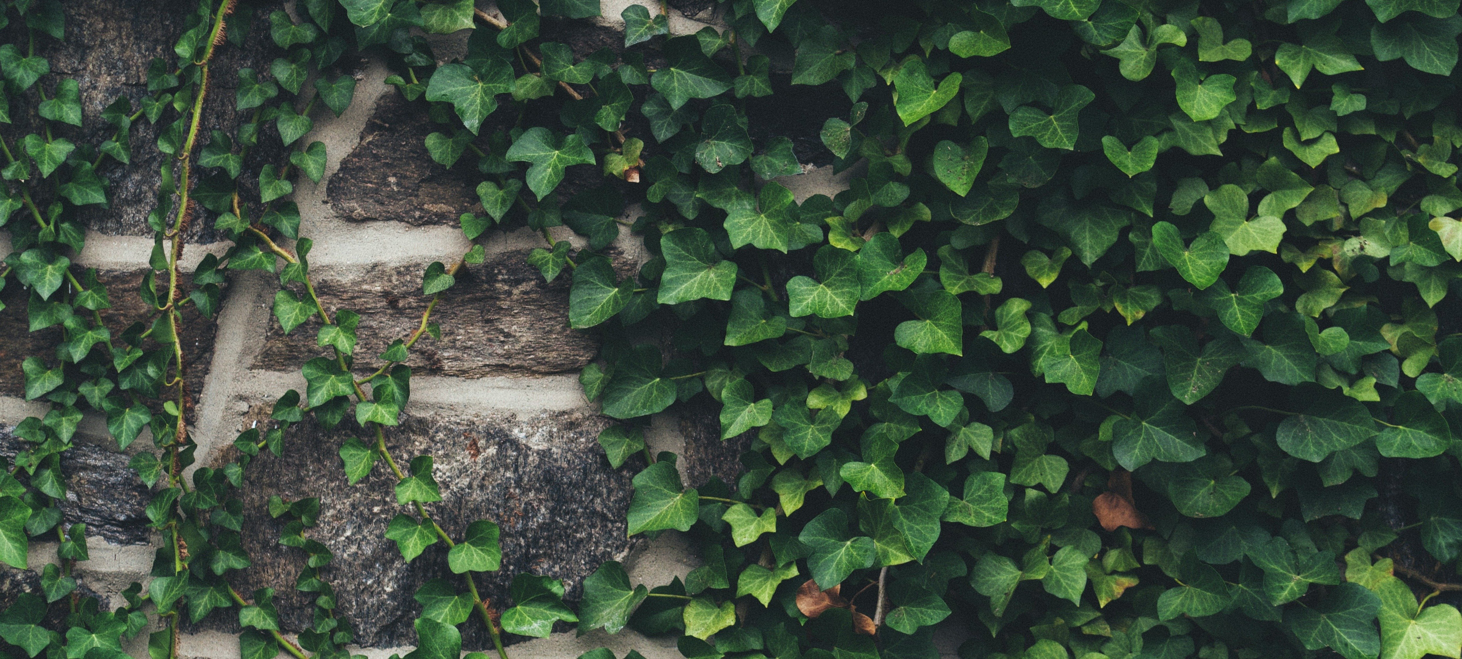 aaron-burden-iJEKioiFhWY-unsplash