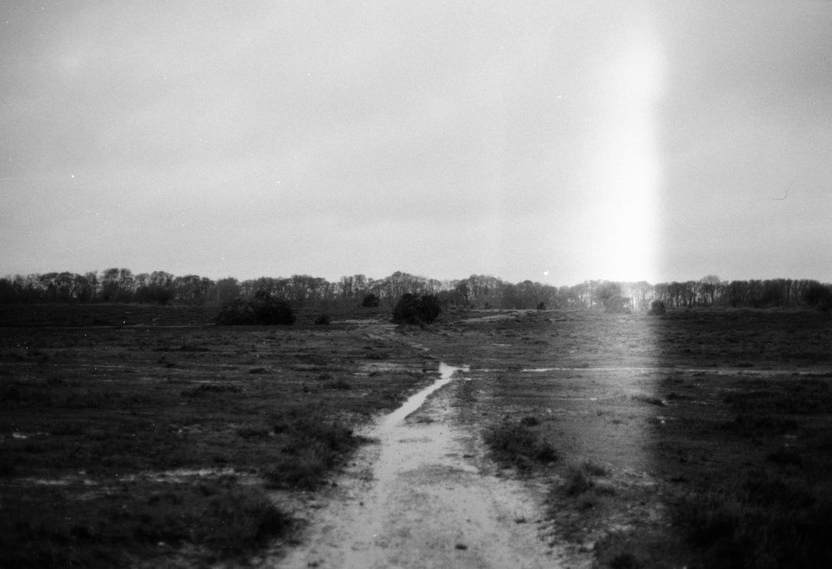 bnw-path