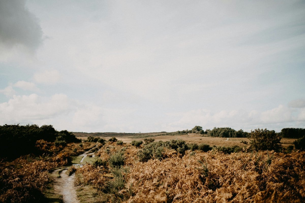 countryside-autumn-path