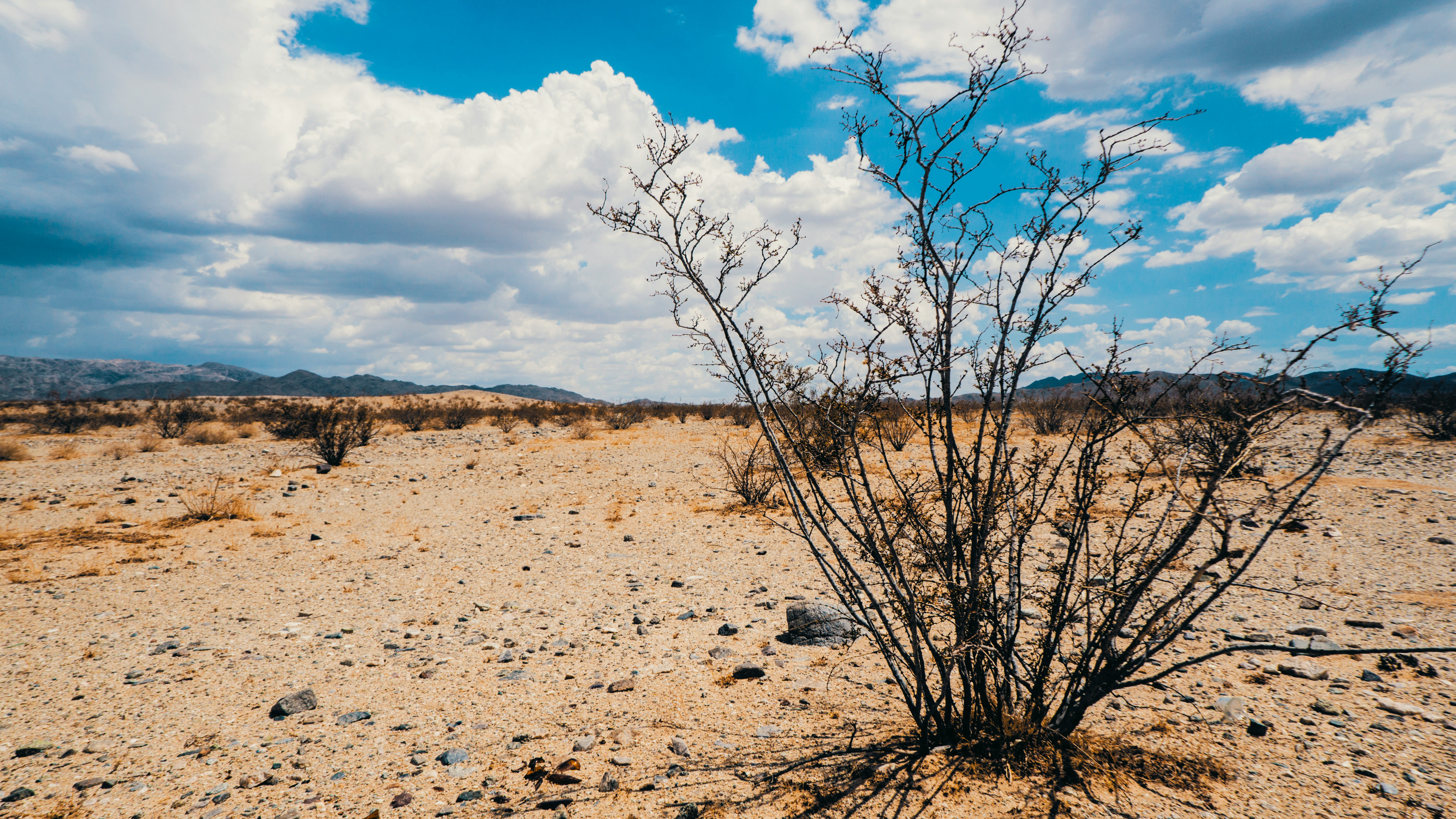 kalle-schmitz-zun_L0n5RTY-unsplash