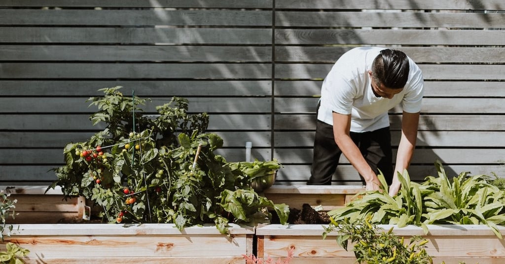 Why Your Soul Care is Organic (But Not An Accident)