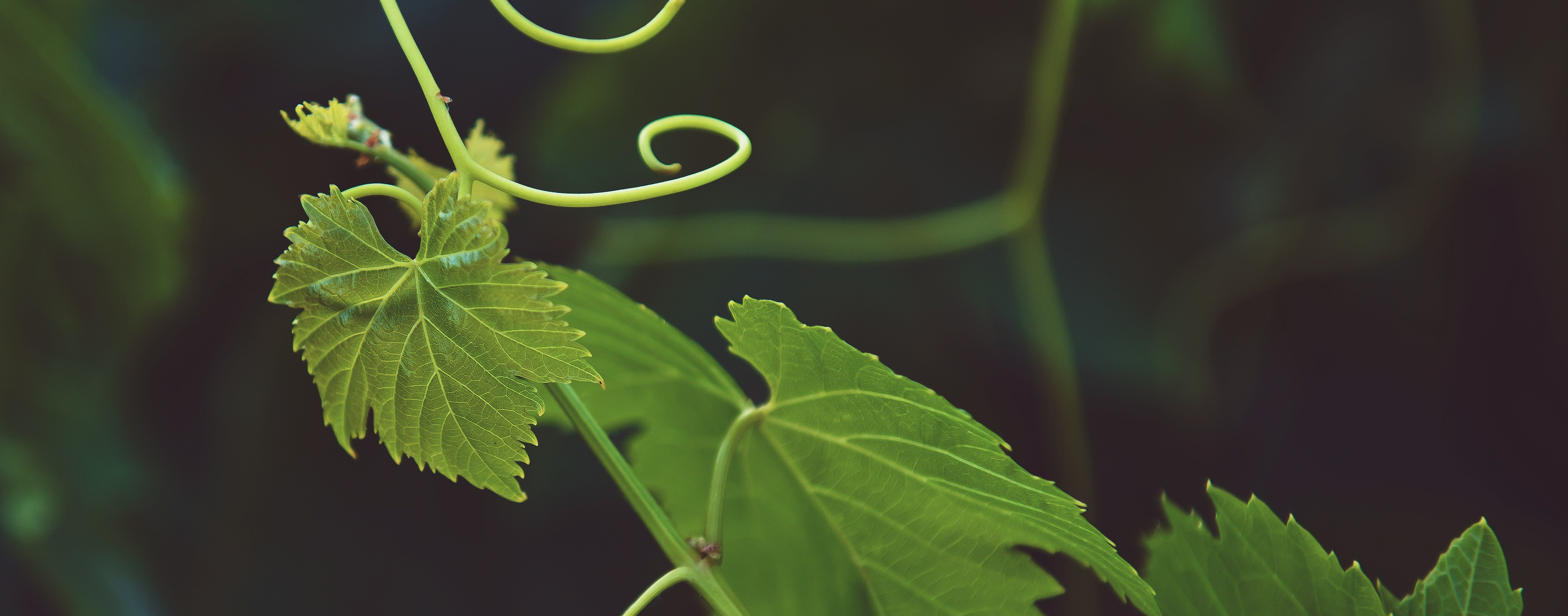 tim-mossholder-KX1BBNY69Ao-unsplash