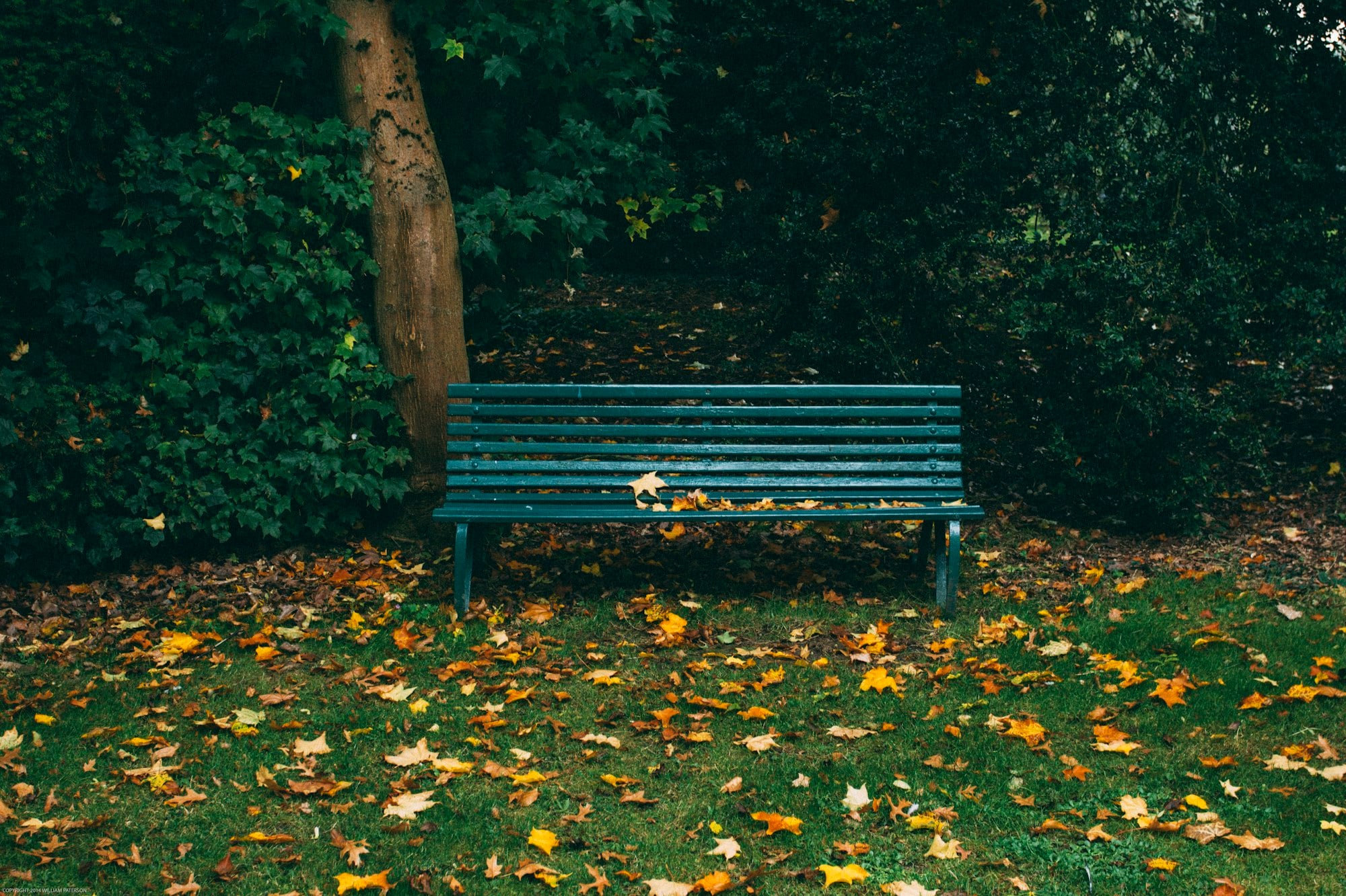 An empty park bench among autumn leaves, a quiet place for a monthly retreat